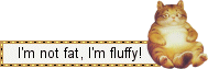 I�m not fat, I�m fluffy