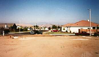 Our lot