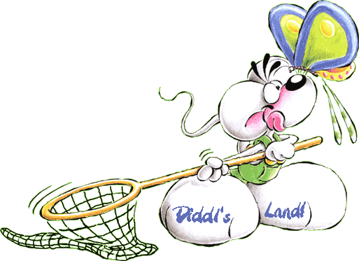 Bienvenue sur Diddl's Land!