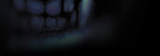 vampirelayout