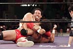 CHUCK PALUMBO