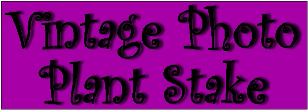 Link to "Vintage Photo Plant Stake" Project Info.