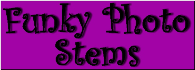 Link to "Funky Photo Stems" Project Info.