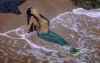 mer01.jpg (57546 bytes)