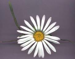 image020.jpg