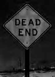 What the path Bush offers us leads to.....