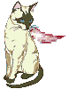 [Cat]