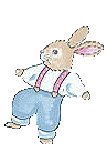 [rabbit]