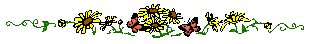 [daisy Bar]