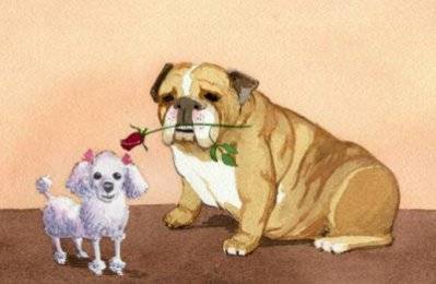 [Puppy Love]