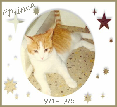 [Prince]