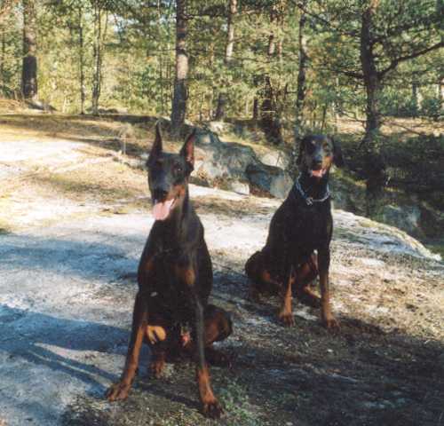 Fanni & Vinni
