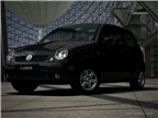 Lupo5.jpg
