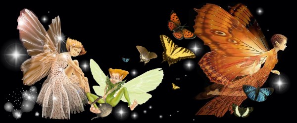 Anne Gerdes Web Design