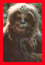 Chewbacca the Wookie, doesn't look as fierce as his kind can be...