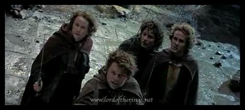 Frodo, Sam, Merry and Pippen!