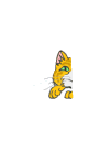 peek!