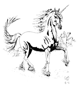 bw5