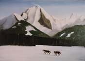 Timber Wolves