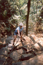 cable rope climbing