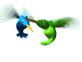 hummingbirds