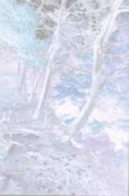 Blue and Green Trees