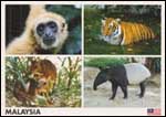 White-handed gibbon, Malayan Tiger, Tapir & Mousedeer