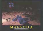 Giant Leatherback Turtles @ Rantau Abang, Terengganu