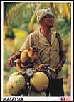 Monkey & owner