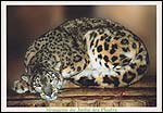 Panther