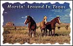 Horses3