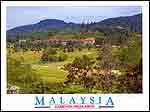Grenery of the Cameron Highlands Golf course