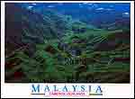View - most beautiful tea garden - Boh estate, C.Highlands