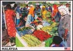 Fresh Local Vegetables On Sale 