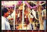 Carrying Kavadi