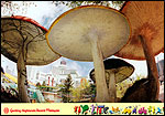 Genting Highlands Resort Malaysia (g14)