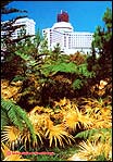 * Genting - City of Entertainment 2