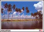 Cherating, East Coast Malaysia - ib14