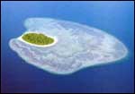Sipadan Island Rises Vertically 2000 feet From The Sea-Bed off Sabah's East Coast