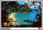 Tropical Island - ib31