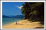 Tropical beach - ib47