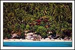Salang Beach, Tioman Island - ib48