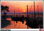 Pastel hues of a magical sunset - ib58