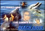 Beach Boys (j19)