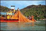Fisherman hauling in their fishing nets for ikan bilis