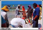 Daily fish market on the Sabak Beach - Kelantan