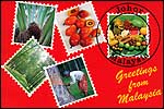 Rubber trees, Oil Palm, Oil Palm seeds, Mal fruits & Rubber tapper