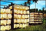 Rubber, rolled into sheets for drying in the smoke house
