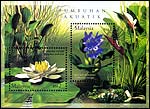 Akuatik Plants (Tumbuhan Akuatik)