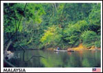 Riverways of National Park (T. Negara) in Pahang